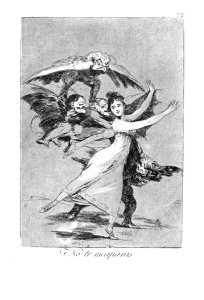 Caprichos  Plate 72 You Cannot Escape